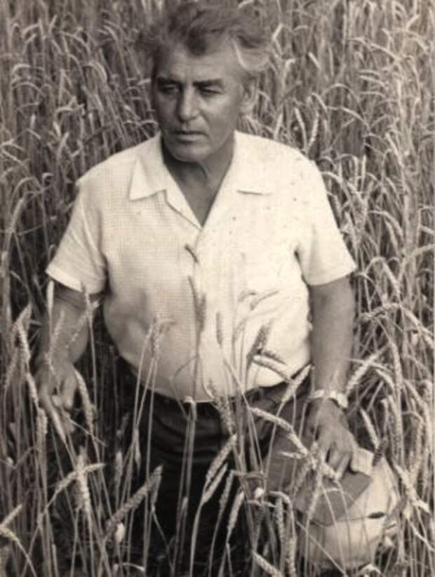 Иван Варавва