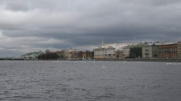 Неизвестный мужчина утонул возле Петропавловской крепости в Петербурге