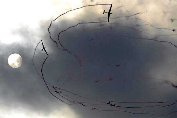 Лучшие снимки Reuters 2011 (часть 2)