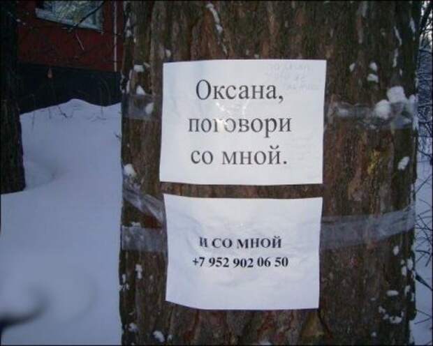 Забавные надписи