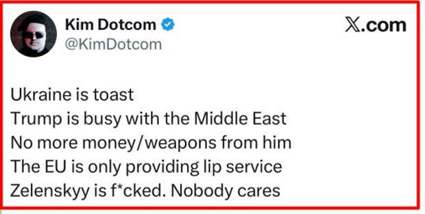 Немецкий бизнесмен Ким Дотком