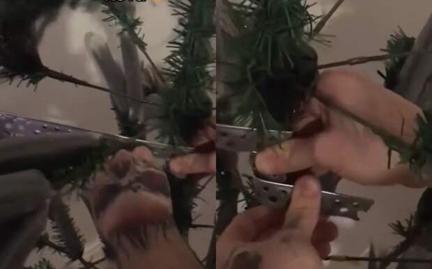 Новогодний лайфхак: парень показал, как крепить елку в доме с котами