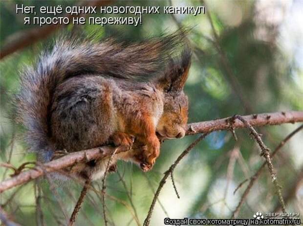 1f854505ba247ba87cfcab8a76ffc163_97334 (600x448, 129Kb)