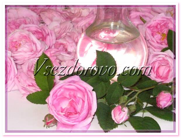 Гидролат розы фото