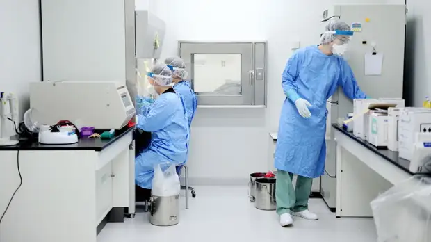 Эксперт из Японии Сакамото рассказала о ситуации с «омикроном» в стране