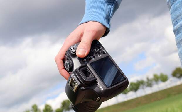 Цикл занятий по фотосъемке для любителей природы пройдет на ВДНХ Фото с сайта pixabay.com