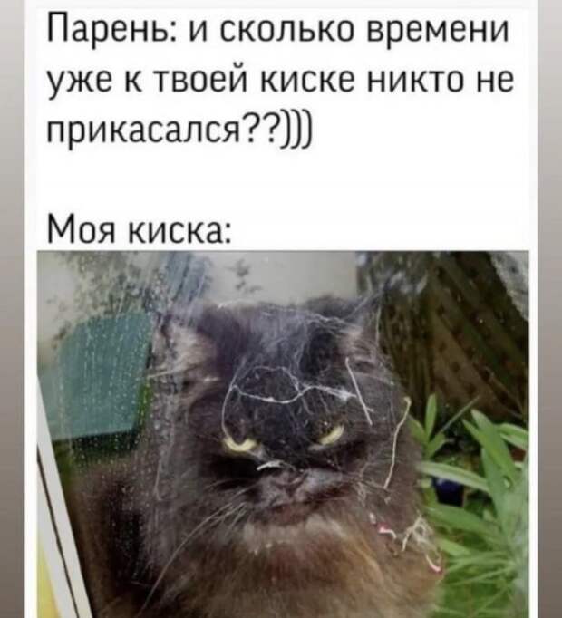 Лучшие шутки и мемы из Сети