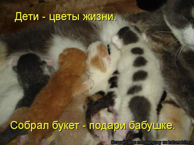 Дети - цветы жизни. Собрал букет - подари бабушке.