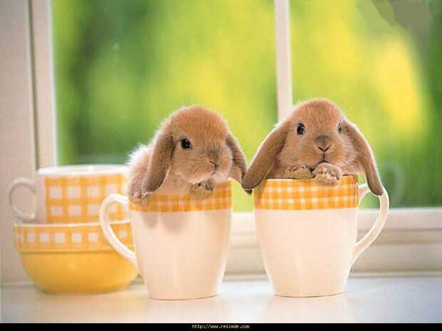 Картинка 10 из 69737