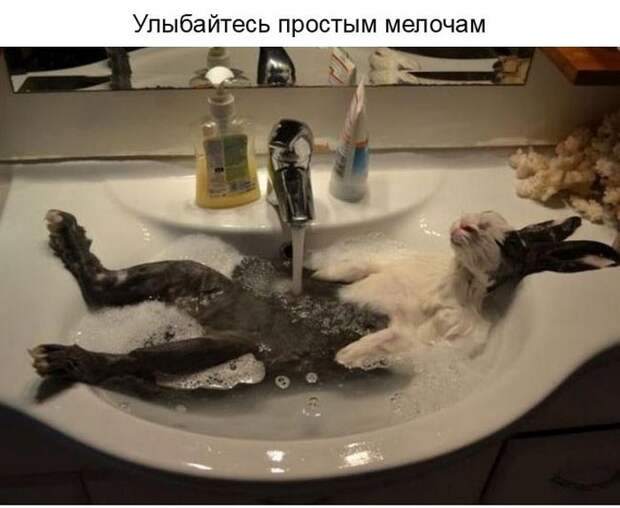 О ценности улыбки в нашей жизни (23 фото) О ценности улыбки в нашей жизни (23 фото)