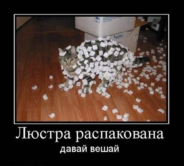 Смешные демотиваторы