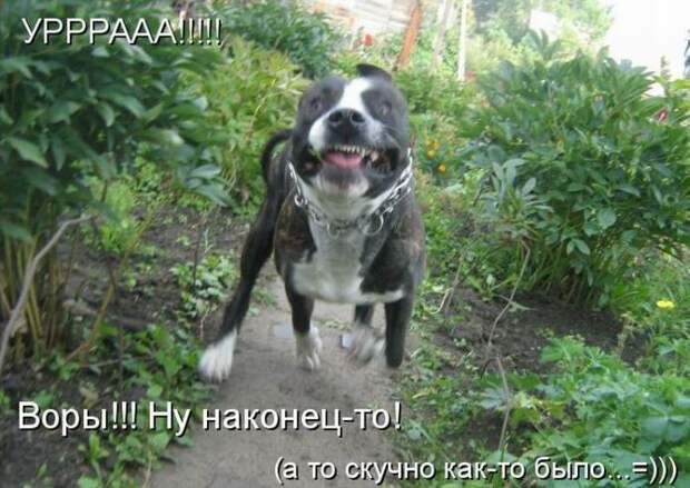Мысли вслух :)