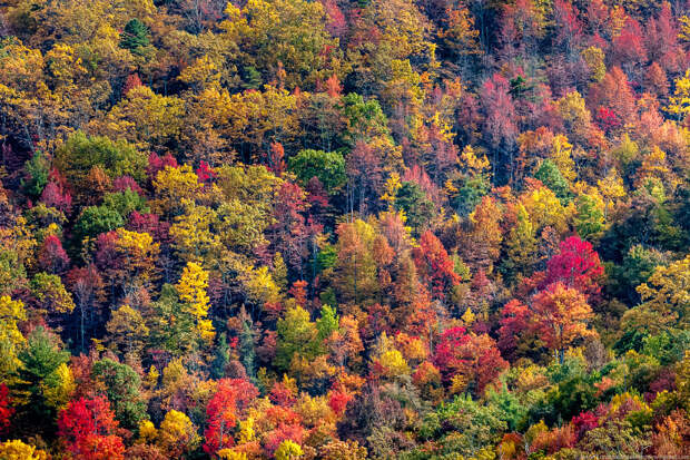 Blue Ridge Parkway