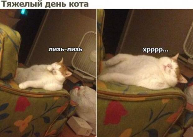 Смешные анекдоты в понедельник утром (24 шт)