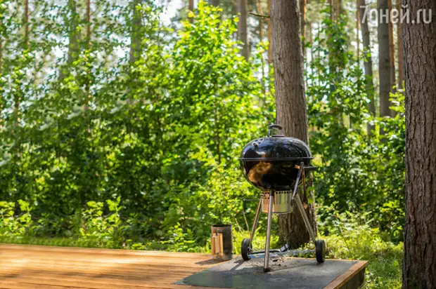 Барбекю-зона на даче: как создать уютное и функциональное место для приготовления шашлыков