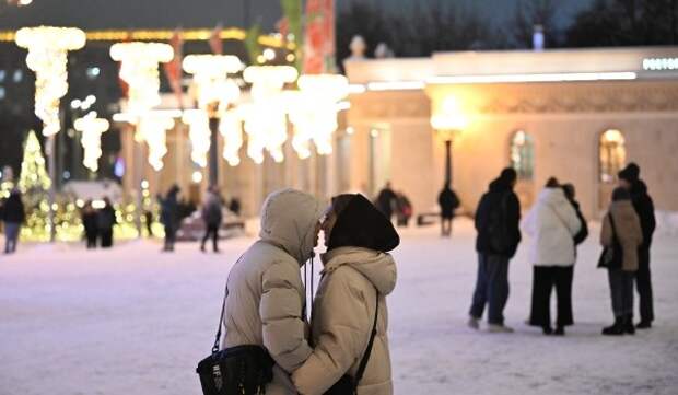 Овчинский: Новогодний строительный кран появится на катке в Парке Горького в рамках проекта «Зима в Москве»