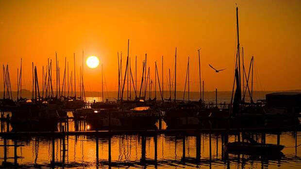 На Солнце за час произошли две мощные вспышки класса М