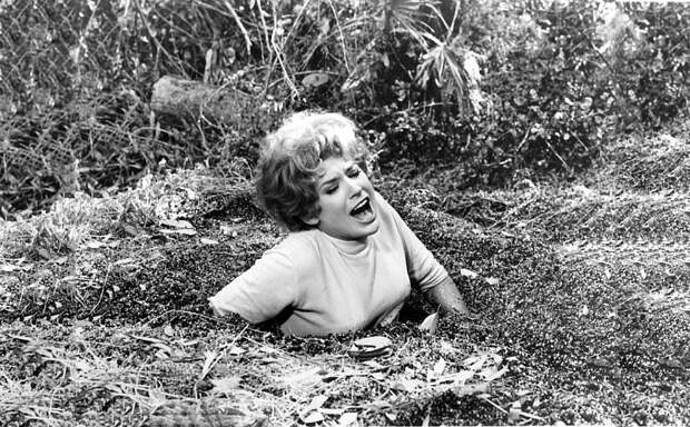 Объясняют эксперты — 5 самых фантастических и жутких способов умереть