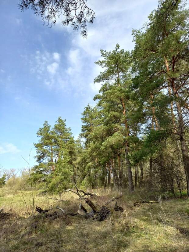 Красоты России (#889)