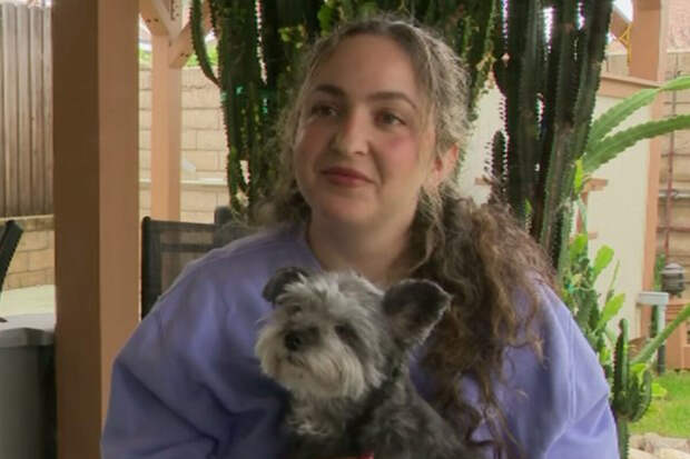 CBS: пропавшая в 2021 году собака вернулась к хозяйке