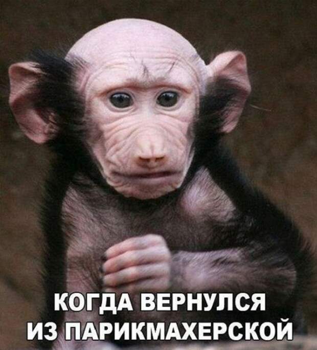 смешные картинки (16)