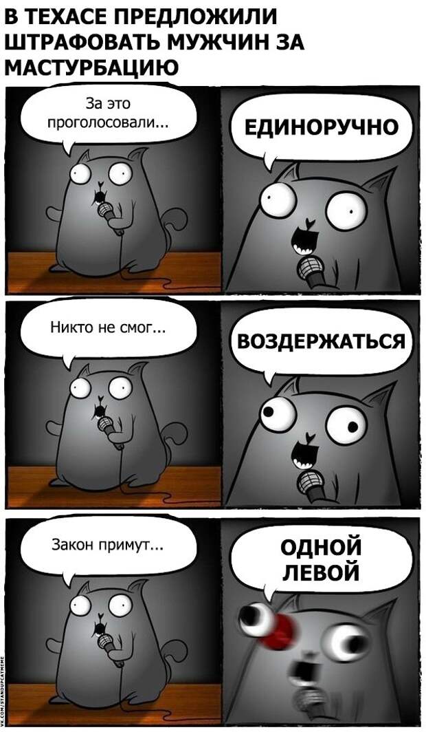 Стендап-кот и его коллекция саркастических комиксов Стендап-кот и его коллекция саркастических комиксов