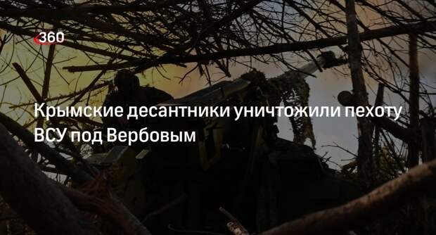 МО: российские десантники ликвидировали до отделения пехоты ВСУ возле Вербового