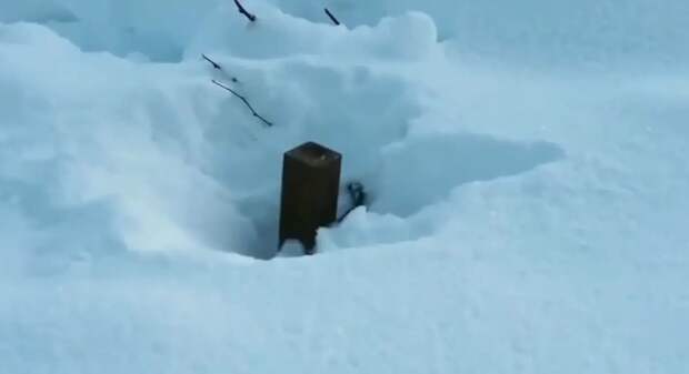 Противник сообщает о дистанционном минировании «Геранями» в Ровенской области