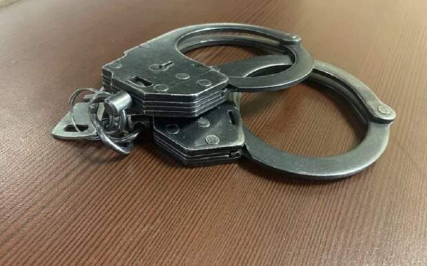 Жителя Ленинградской области арестовали за похищение у рязанки 4 миллионов рублей