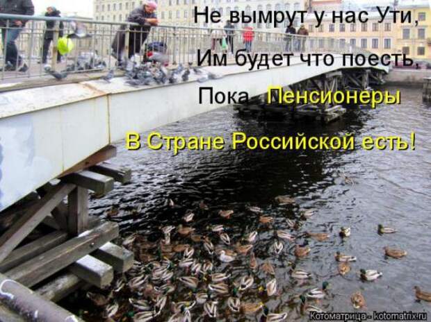 Котоматрицы (картинки с надписями)
