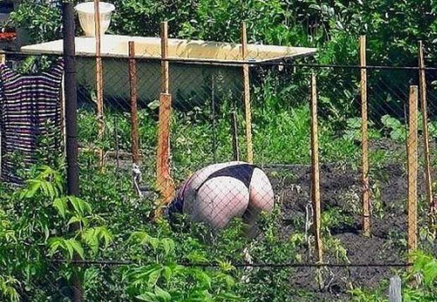 дачный стриптиз
