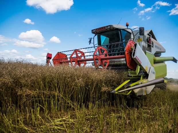 Сельскохозяйственные предприятия Свердловской области приступили к уборке кормовых трав