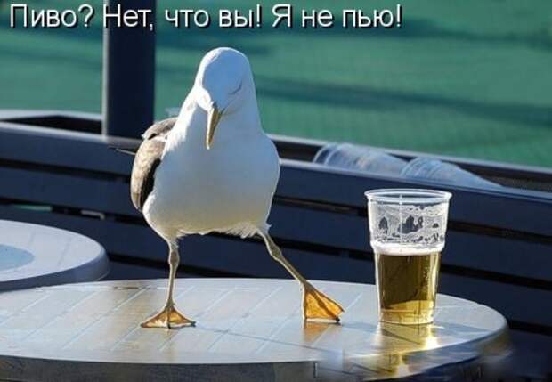 Давайте улыбаться вместе :) (25поводов)