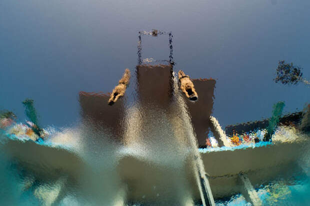 Яркие фотографии Чемпионата мира по водным видам спорта Яркие фотографии Чемпионата мира по водным видам спорта
