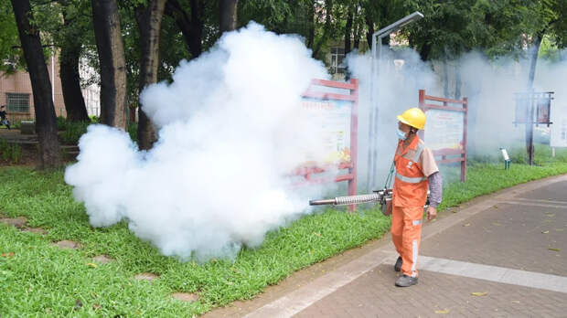 Китай ввел антиковидные меры из-за распространения вируса чикунгунья