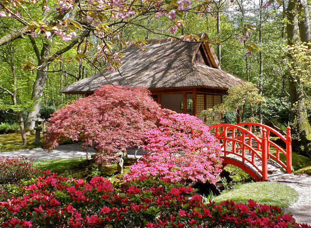 Японский сад города Гаага в Голландии
