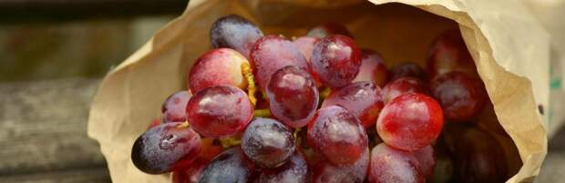 Кушайте на здоровье! Ученые обнаружили неожиданное свойство винограда