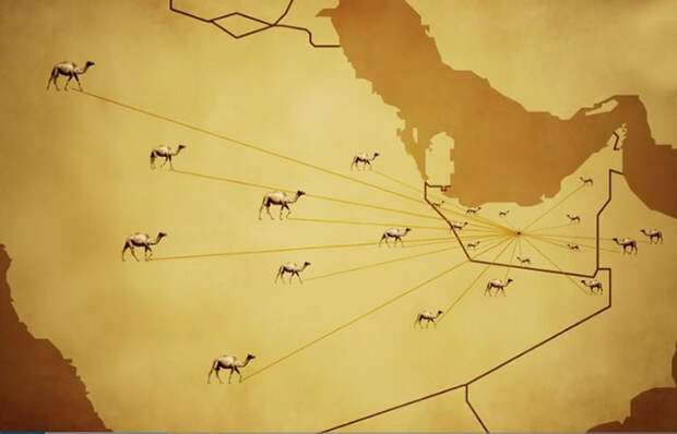 Заводчики верблюдов ведут своих питомцев со всей округи, преодолевая десятки километров.
