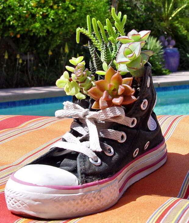 shoes-container-garden4-1.jpg