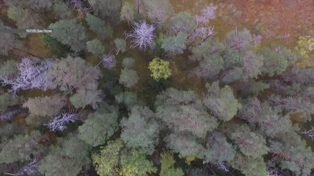 Двойная жизнь и вмешательство ФСБ: 7 странностей в исчезновении семьи Усольцевых