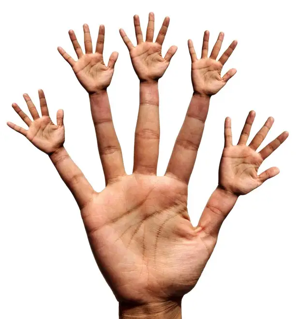 Рука человека