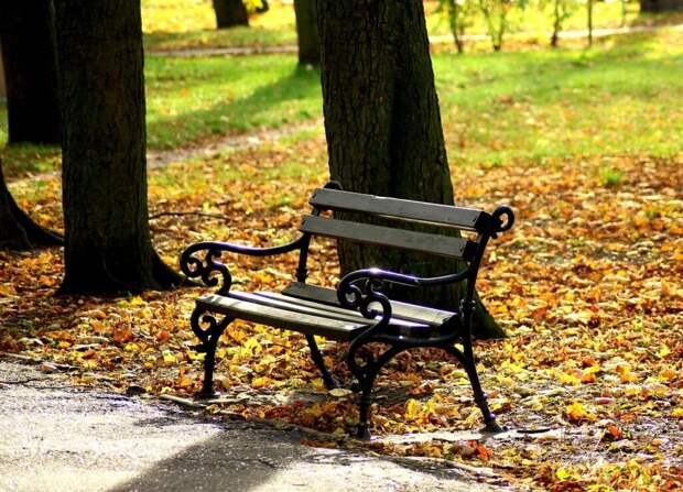 bench-3797534_1280-1024x739 Красивые и удобные садовые скамейки