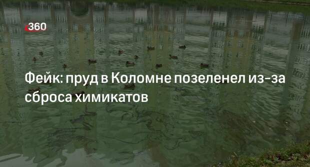 Сообщения о сбросе химикатов в пруд в Коломне оказались недостоверными