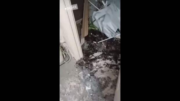 Video: Видео от Донецкая группа новостей|Донецк.ДНР