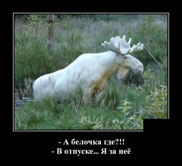 Демотиваторы (30 фото)
