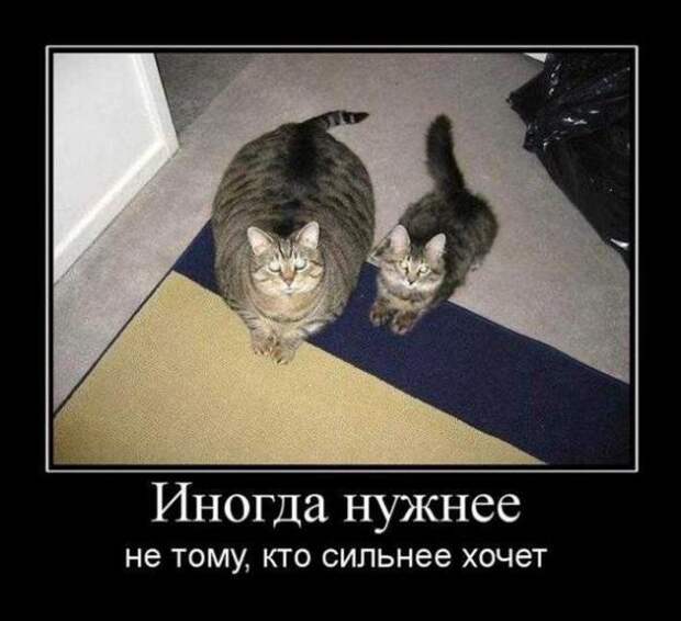 Демотиваторы по русски 1