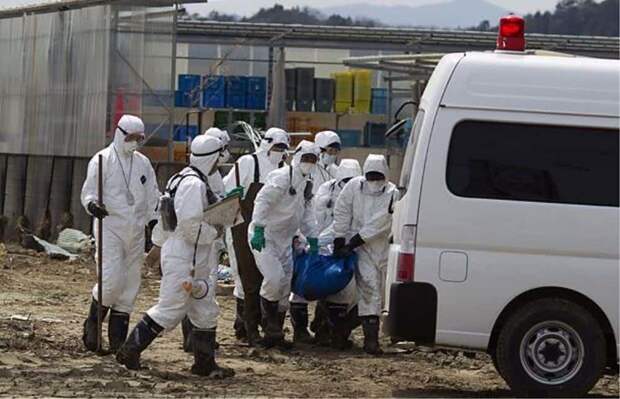 Поиски выживших зона отчуждения, радиоактивная зона, фото, фукусима, япония