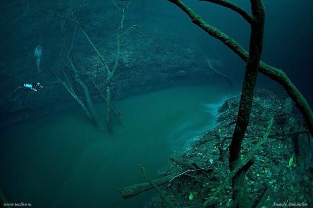 Удивительные фотографии мрачной реки в Мексике, которая протекает под другой рекой