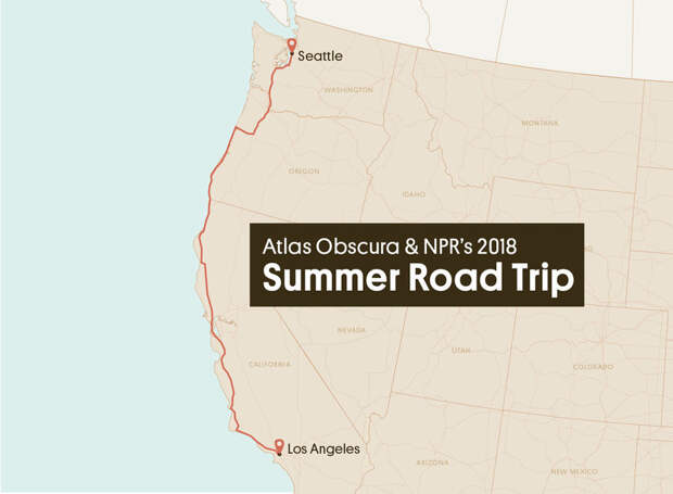 Looking for wonder on the left coast.