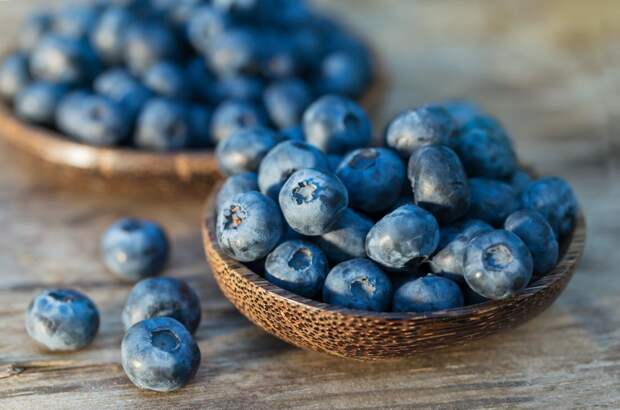 blueberries-in-a-bowl-to-boost-immune-system